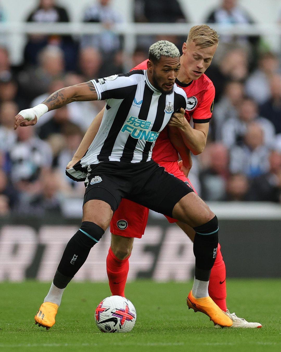 宣言不仅仅 宣言不仅仅